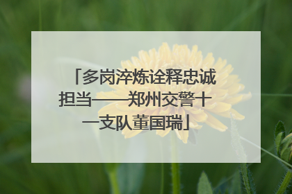 多岗淬炼诠释忠诚担当——郑州交警十一支队董国瑞