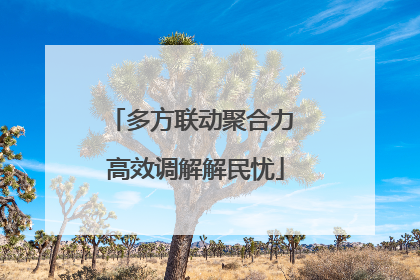 多方联动聚合力 高效调解解民忧