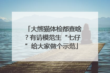 大熊猫体检都查啥？有请模范生“七仔”给大家做个示范
