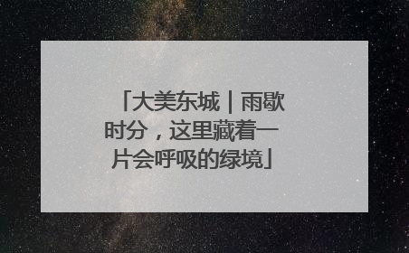 大美东城｜雨歇时分，这里藏着一片会呼吸的绿境