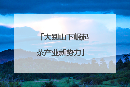 大别山下崛起茶产业新势力