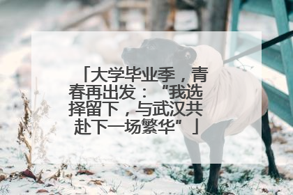 大学毕业季，青春再出发：“我选择留下，与武汉共赴下一场繁华”