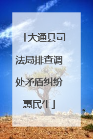 大通县司法局排查调处矛盾纠纷惠民生