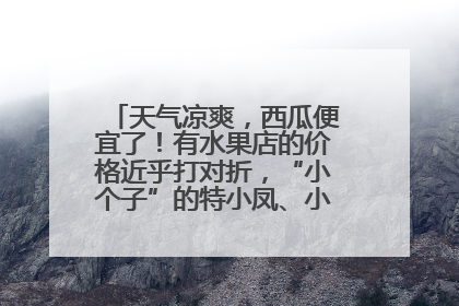 天气凉爽，西瓜便宜了！有水果店的价格近乎打对折，“小个子”的特小凤、小糖丸更好卖