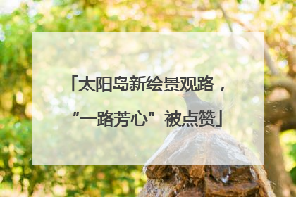 太阳岛新绘景观路，“一路芳心”被点赞