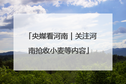 央媒看河南｜关注河南抢收小麦等内容