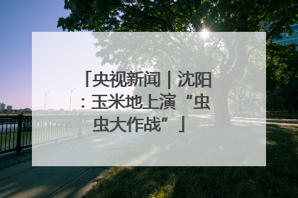 央视新闻｜沈阳：玉米地上演“虫虫大作战”