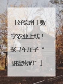 好德州丨数字农业上线！探寻车厘子“甜蜜密码”