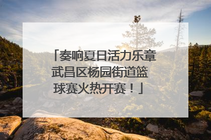奏响夏日活力乐章 武昌区杨园街道篮球赛火热开赛！