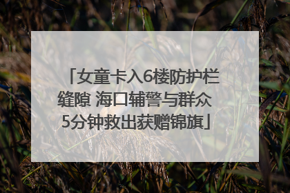 女童卡入6楼防护栏缝隙 海口辅警与群众5分钟救出获赠锦旗