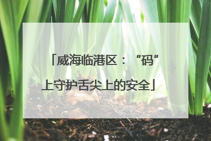 威海临港区：“码”上守护舌尖上的安全