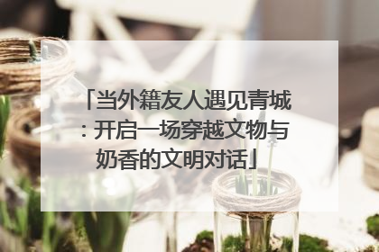 当外籍友人遇见青城：开启一场穿越文物与奶香的文明对话