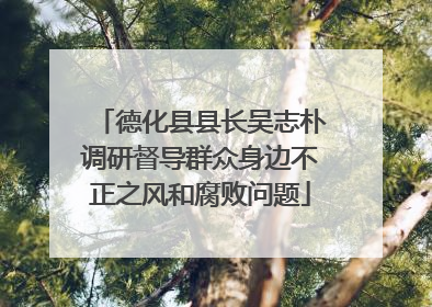 德化县县长吴志朴调研督导群众身边不正之风和腐败问题
