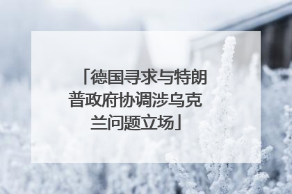德国寻求与特朗普政府协调涉乌克兰问题立场