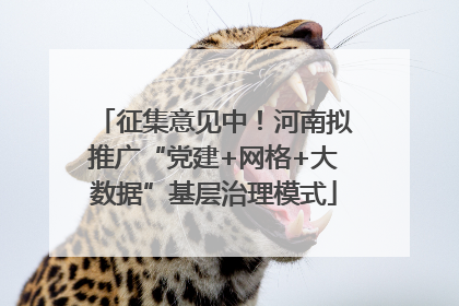 征集意见中！河南拟推广“党建+网格+大数据”基层治理模式