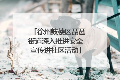 徐州鼓楼区琵琶街道深入推进安全宣传进社区活动