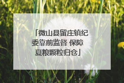 微山县留庄镇纪委靠前监督 保障夏粮颗粒归仓