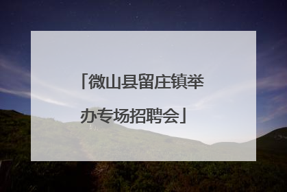 微山县留庄镇举办专场招聘会