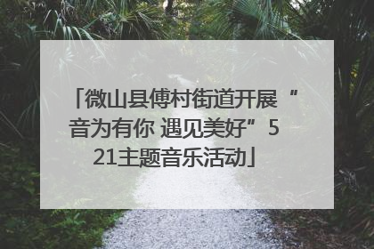 微山县傅村街道开展“音为有你 遇见美好”521主题音乐活动
