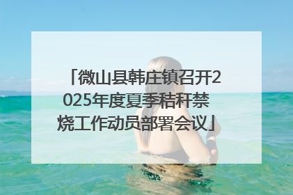 微山县韩庄镇召开2025年度夏季秸秆禁烧工作动员部署会议