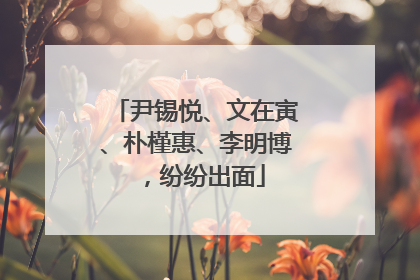 尹锡悦、文在寅、朴槿惠、李明博，纷纷出面