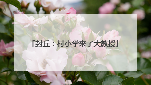 封丘：村小学来了大教授