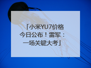 小米YU7价格今日公布！雷军：一场关键大考
