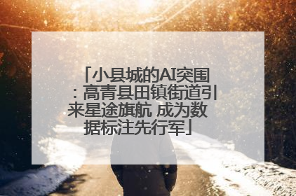 小县城的AI突围：高青县田镇街道引来星途旗航 成为数据标注先行军