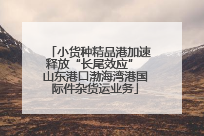 小货种精品港加速释放“长尾效应” 山东港口渤海湾港国际件杂货运业务