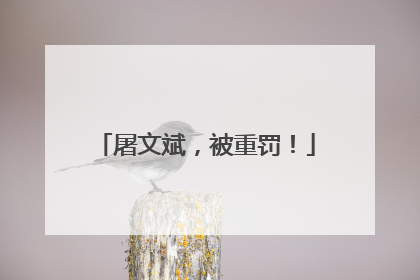 屠文斌，被重罚！