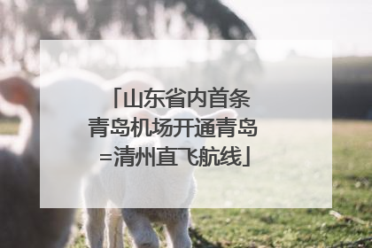山东省内首条 青岛机场开通青岛=清州直飞航线