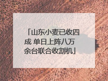 山东小麦已收四成 单日上阵八万余台联合收割机