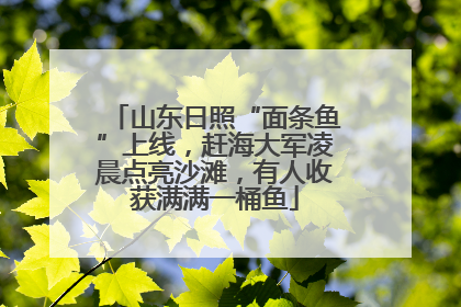 山东日照“面条鱼”上线，赶海大军凌晨点亮沙滩，有人收获满满一桶鱼