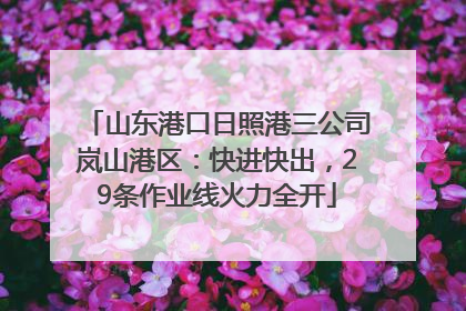 山东港口日照港三公司岚山港区：快进快出，29条作业线火力全开