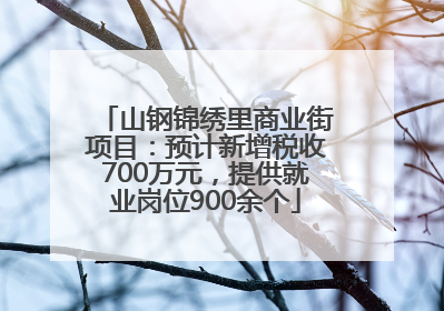 山钢锦绣里商业街项目：预计新增税收700万元，提供就业岗位900余个