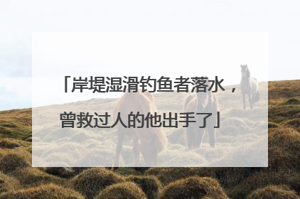 岸堤湿滑钓鱼者落水，曾救过人的他出手了