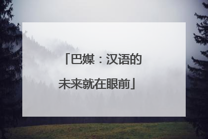 巴媒：汉语的未来就在眼前