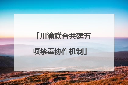 川渝联合共建五项禁毒协作机制