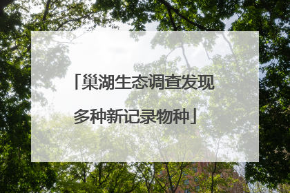 巢湖生态调查发现多种新记录物种
