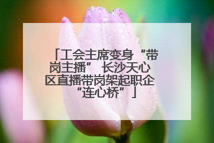 工会主席变身“带岗主播” 长沙天心区直播带岗架起职企“连心桥”