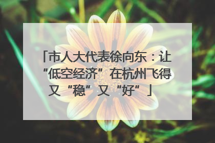 市人大代表徐向东：让“低空经济”在杭州飞得又“稳”又“好”