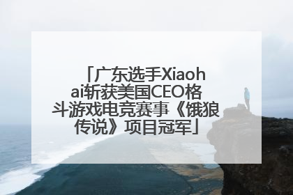 广东选手Xiaohai斩获美国CEO格斗游戏电竞赛事《饿狼传说》项目冠军