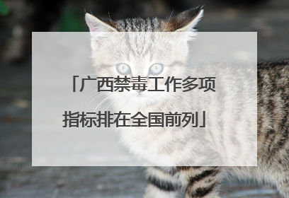 广西禁毒工作多项指标排在全国前列