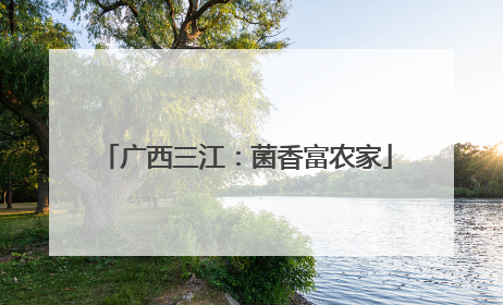 广西三江：菌香富农家