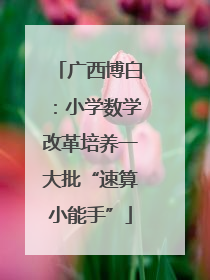 广西博白：小学数学改革培养一大批“速算小能手”