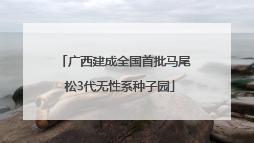 广西建成全国首批马尾松3代无性系种子园
