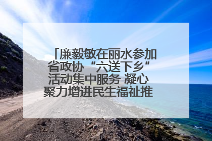 廉毅敏在丽水参加省政协“六送下乡”活动集中服务 凝心聚力增进民生福祉推进共同富裕