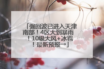 强回波已进入天津南部！4区大到暴雨！10级大风+冰雹！最新预报→