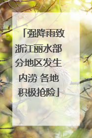 强降雨致浙江丽水部分地区发生内涝 各地积极抢险