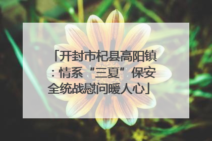 开封市杞县高阳镇：情系“三夏”保安全统战慰问暖人心